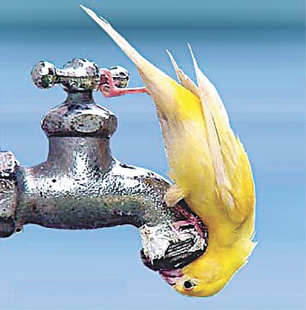 People yearning for water and electricity in the cold, supplied by tankers