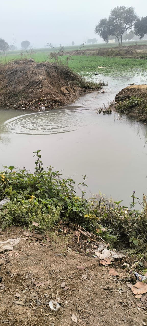 Dozens of bighas of crops drowned due to cutting of Rajbaha
