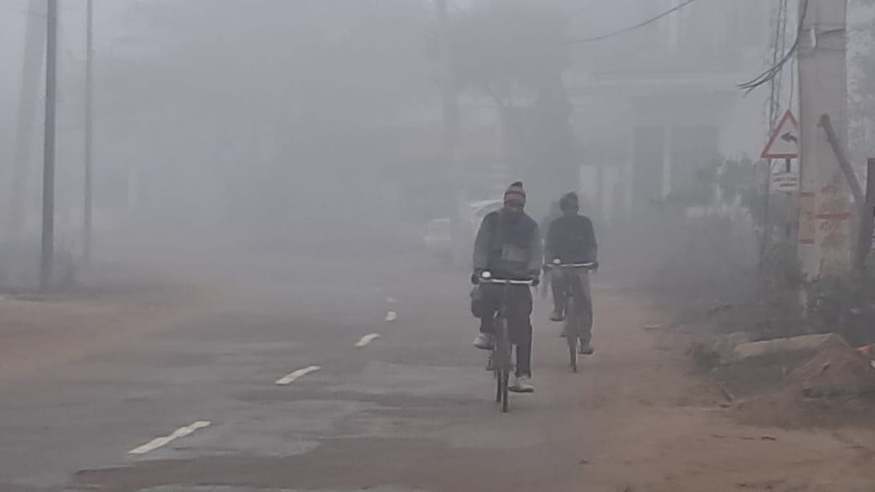 Fog rained like drops, cold increased due to drop in minimum temperature
