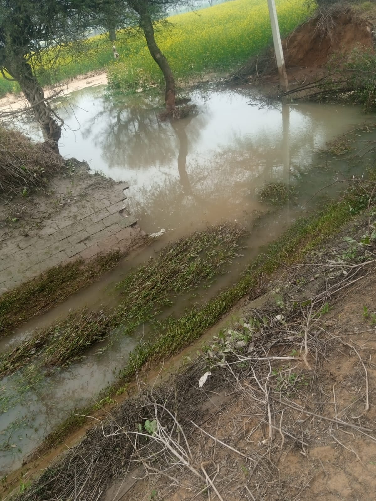 School wall collapsed due to canal breach, crops standing in 10 acres were submerged