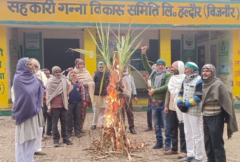 Farmers burn sugarcane on Holi