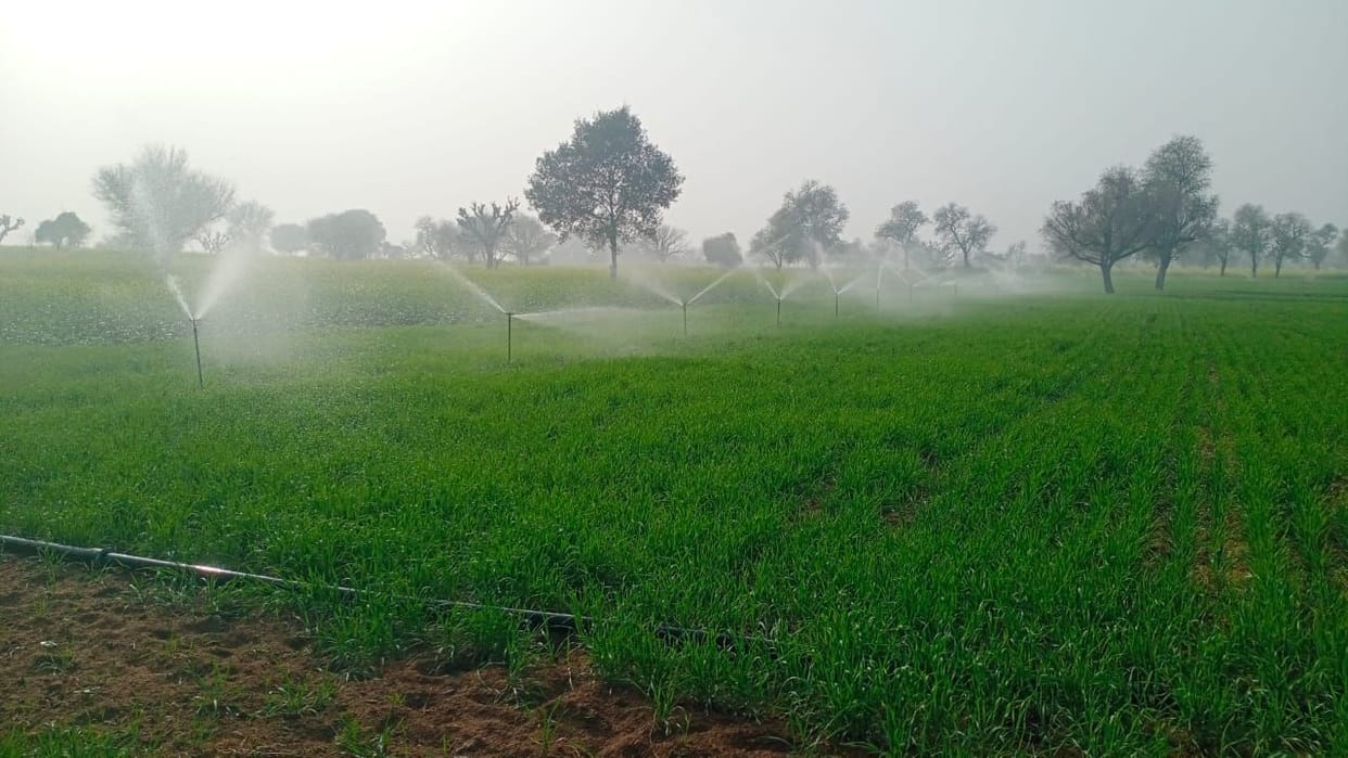 agriculture policies should be given priority to increase farmers income improve their life in budget 2024