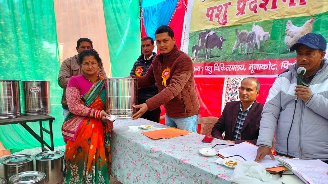 Deepa Saun's calf champion in animal exhibition