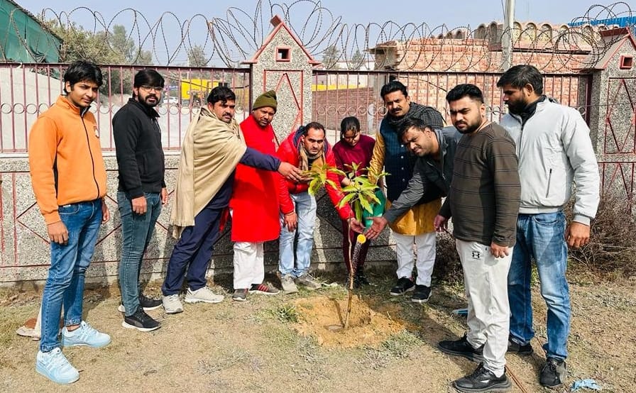 Saplings were planted in the temple on the occasion of Ramlala Pran Pratistha