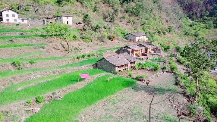Kukdauni village has not yet got road facilities