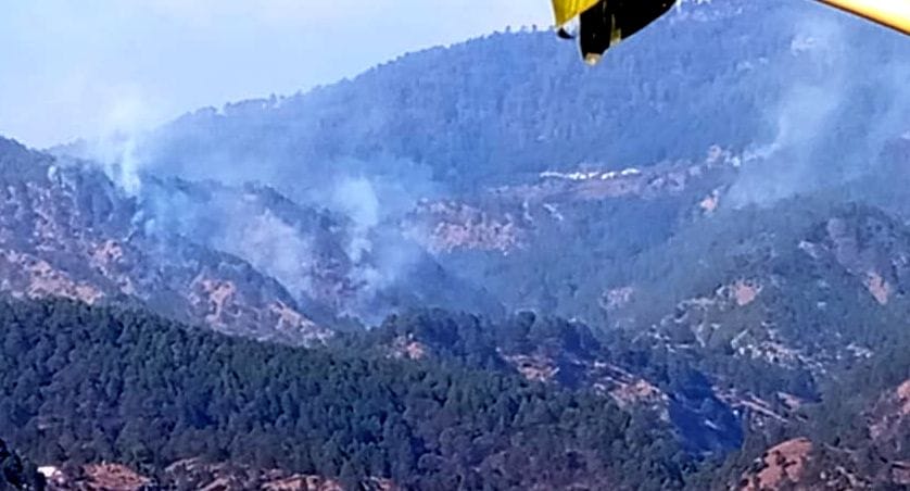 Forest Fire In Winters