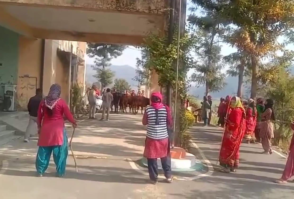 Women reached SDM office with abandoned animals