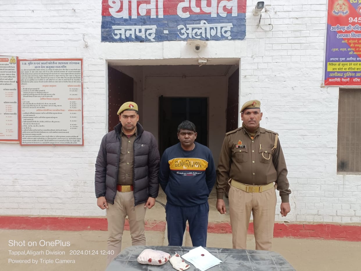 Those selling meat after slaughtering stray animals were caught