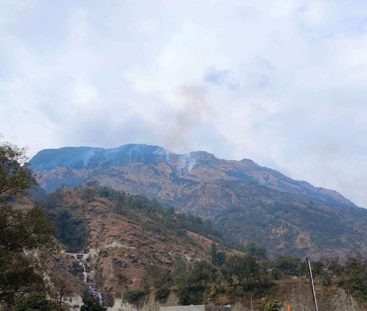 Unruly elements set fire in the forest of Alam Darma