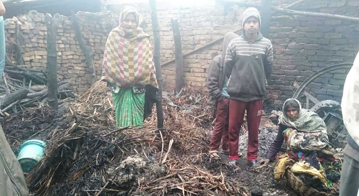 Fire broke out in cattle shed, 40 goats burnt to death