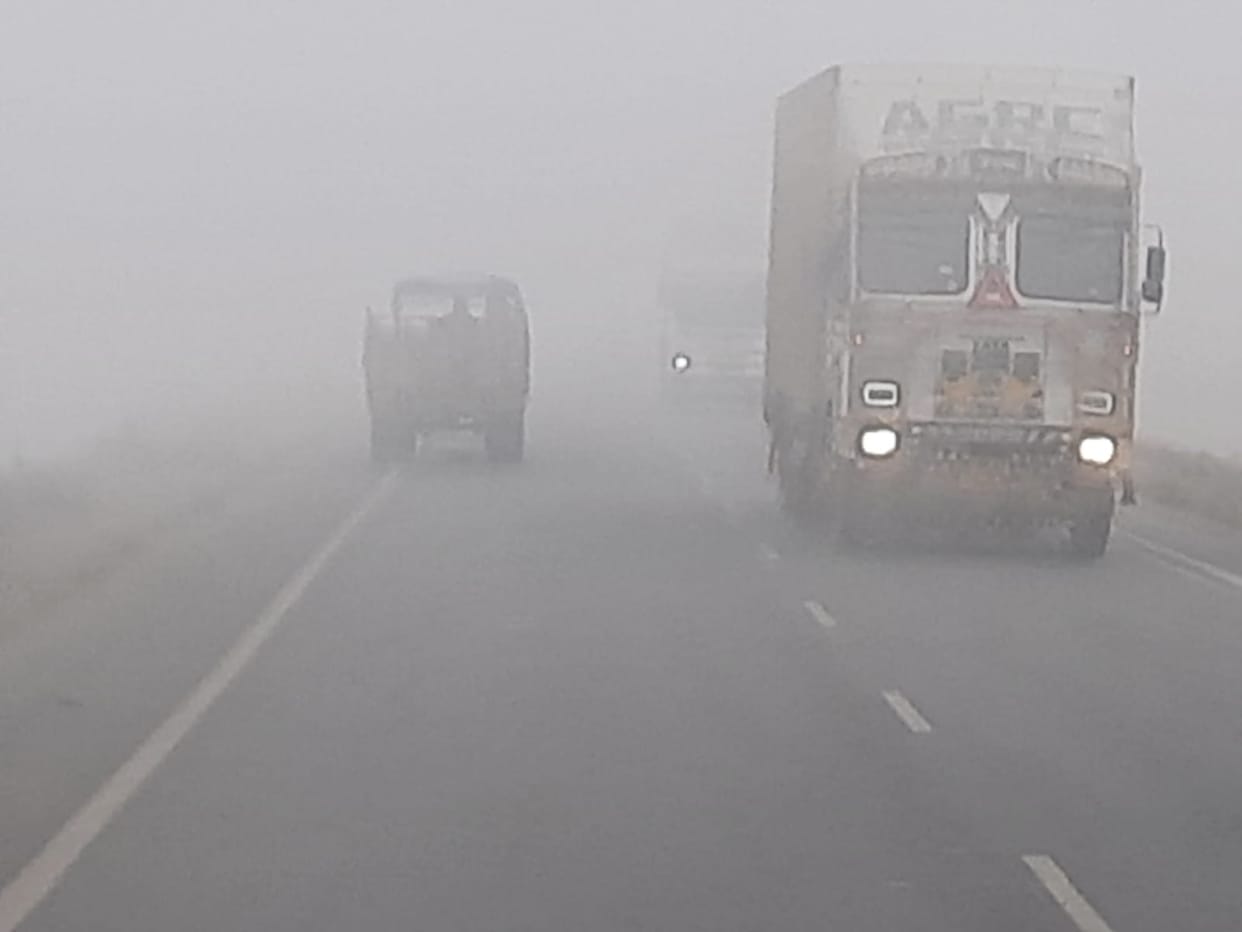Fog and cold wave shivered... be prepared in future also