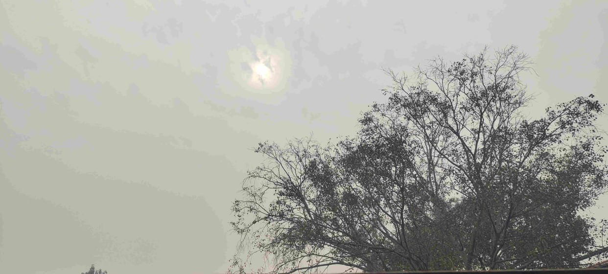 The temperature will decrease after February 1