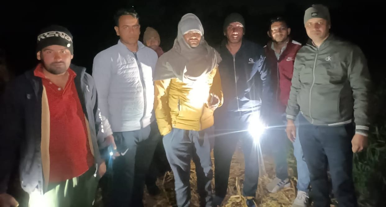 Leopard cub seen by farmers between Chhapar Rangdan and Chhapar Jogian