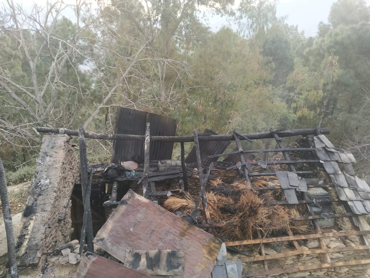 Nine month old calf burnt in fire in cowshed