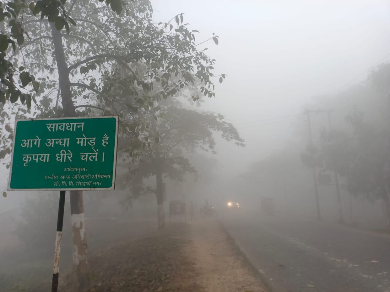 Dense fog and melting in the morning, relief from sunshine in the afternoon