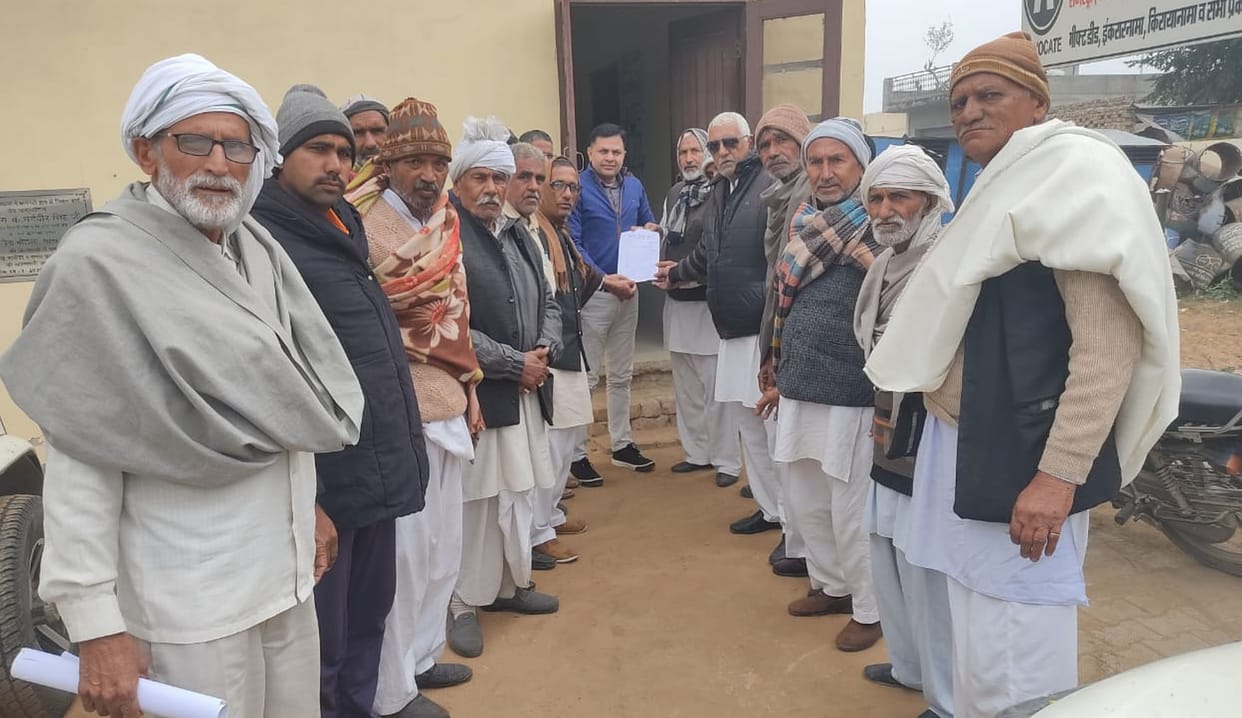 White disease outbreak in mustard crop, farmers submitted memorandum
