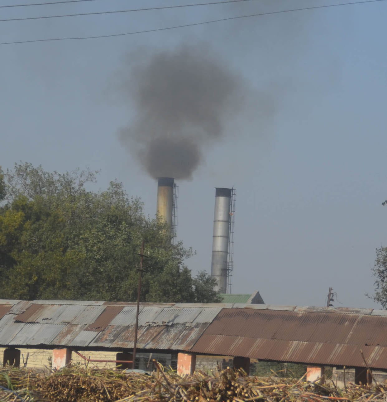 Three crore rupees of increased price released