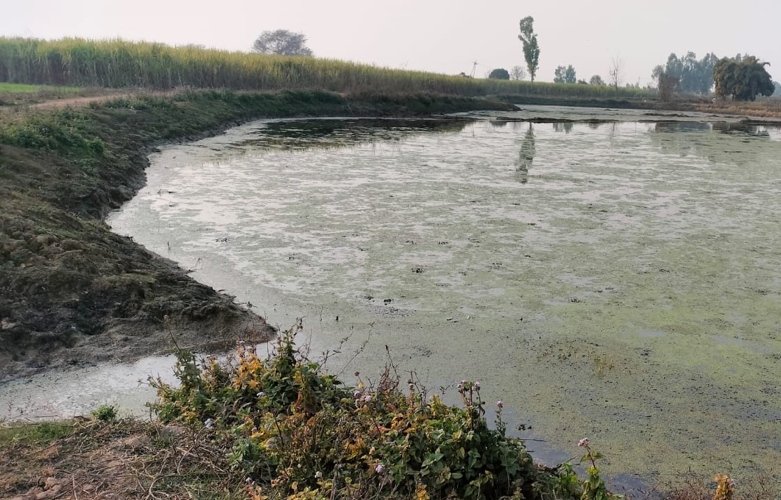 Due to lack of budget, Amrit Sarovar scheme is limited to papers.