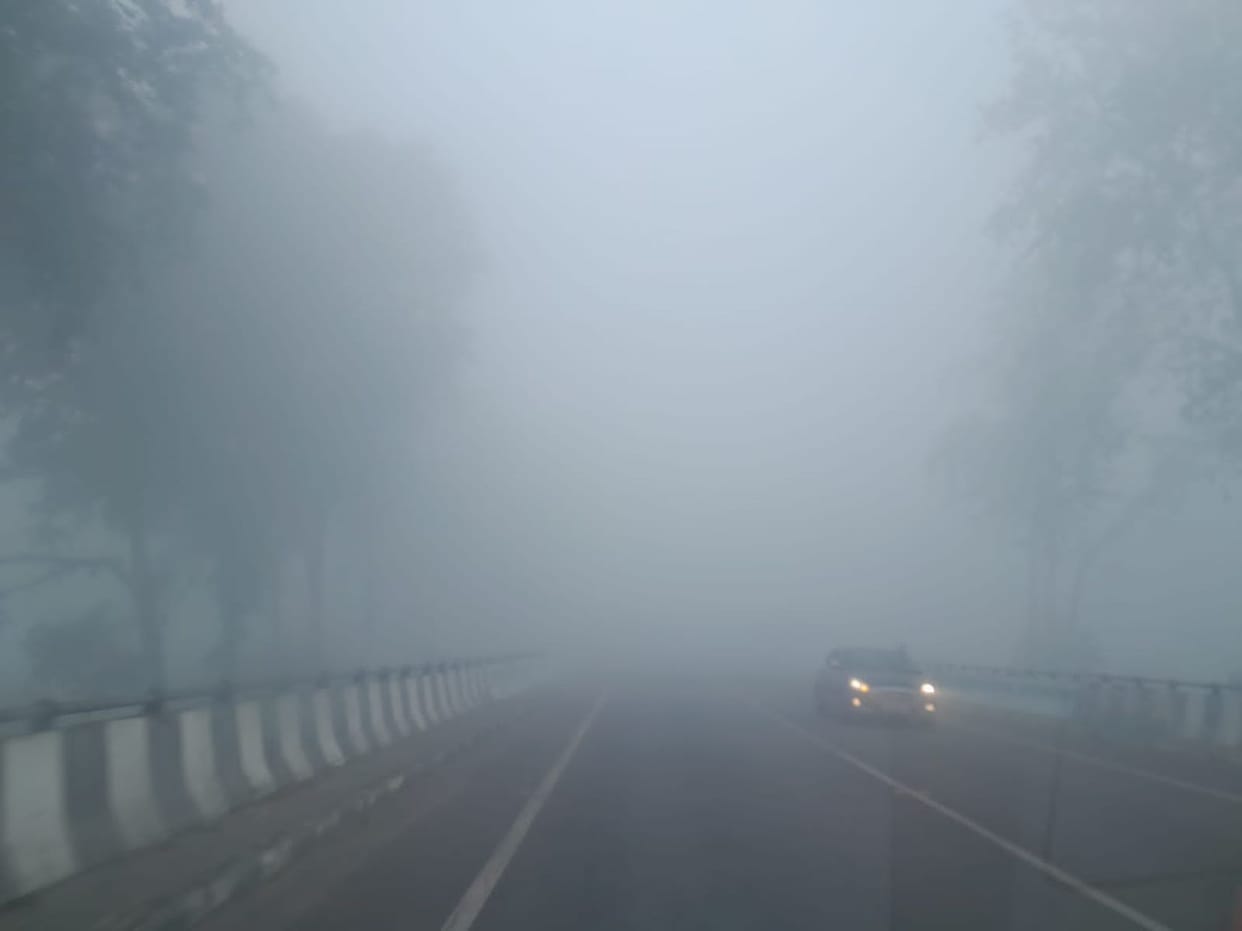 vehicles crawling through the fog