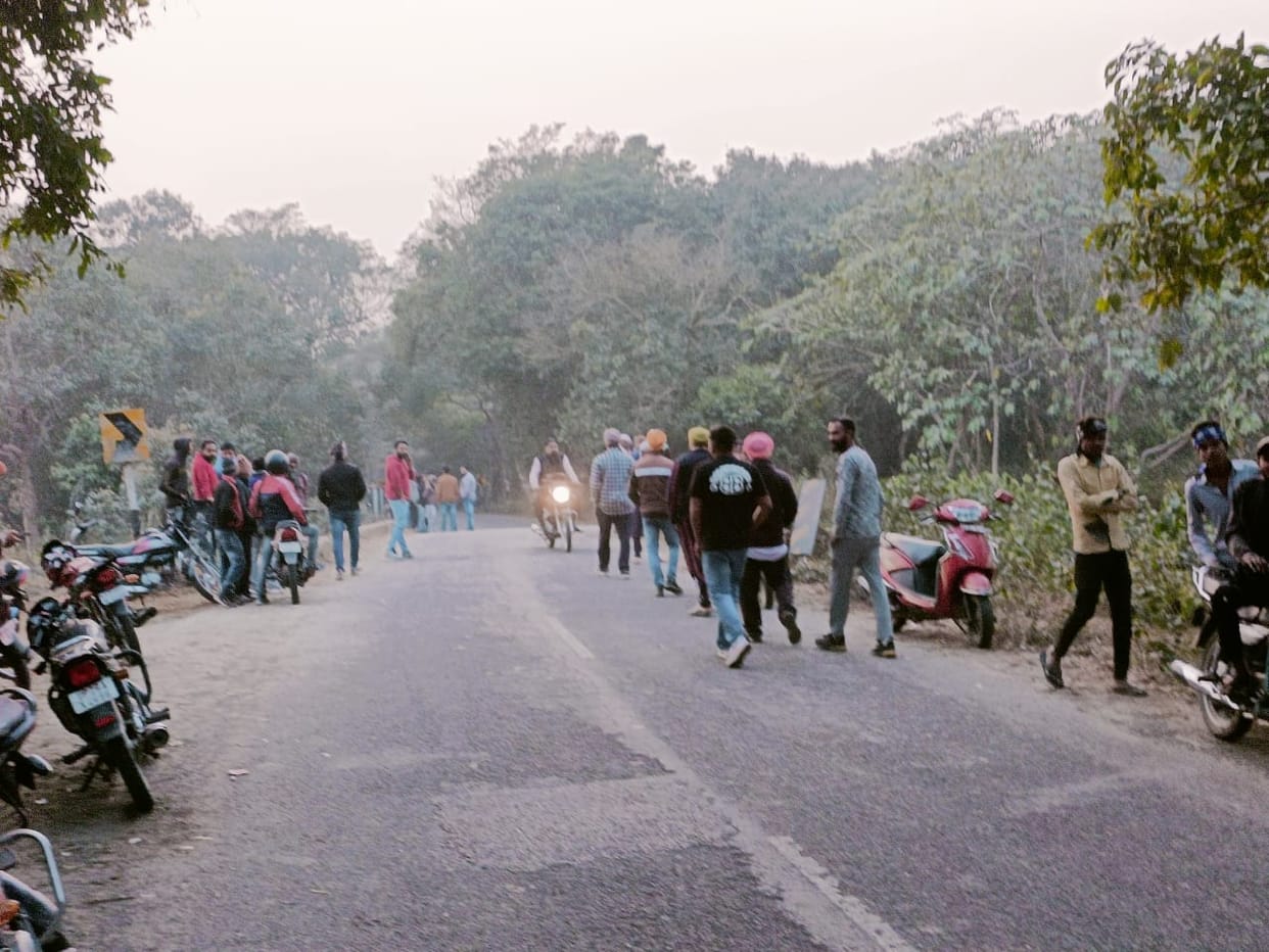 A laborer who went to clean the forest was taken away by a tiger.