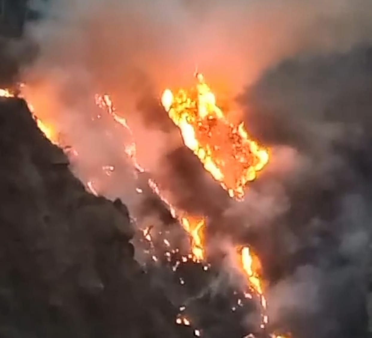 Fire broke out in Rape village, villagers extinguished it