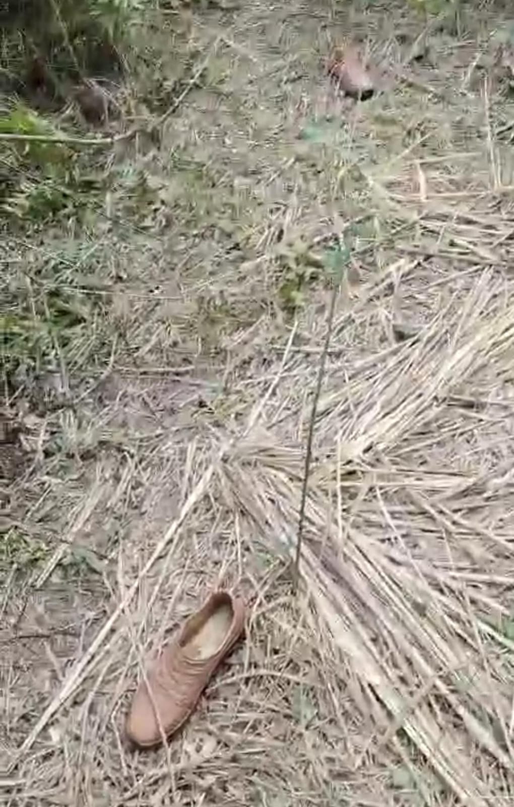 Villagers said- 40 laborers had reached the forest on the call of the forest department.