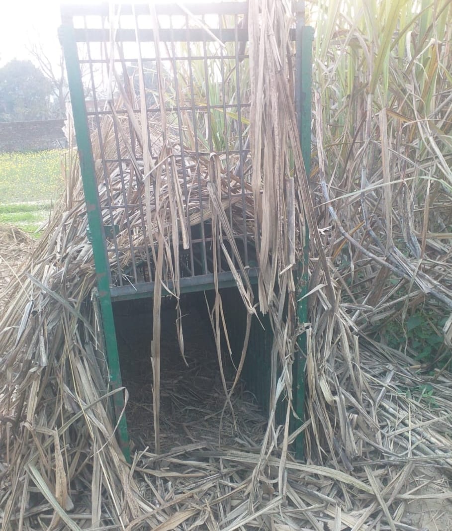 The cage was empty, the henchman took the life of another animal
