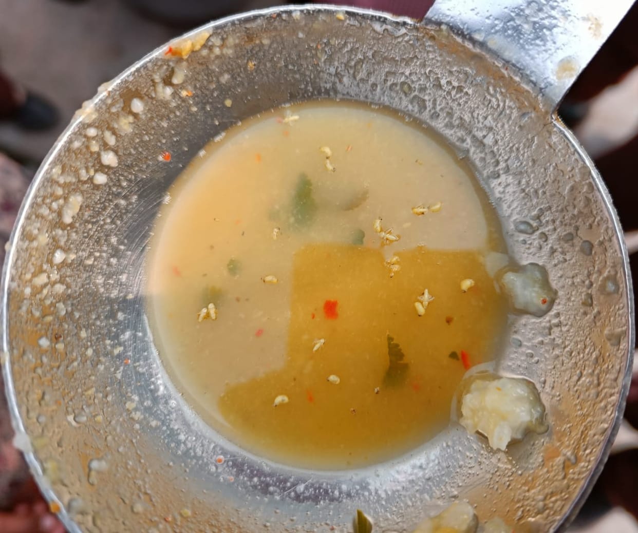 Insects found in children food dal
