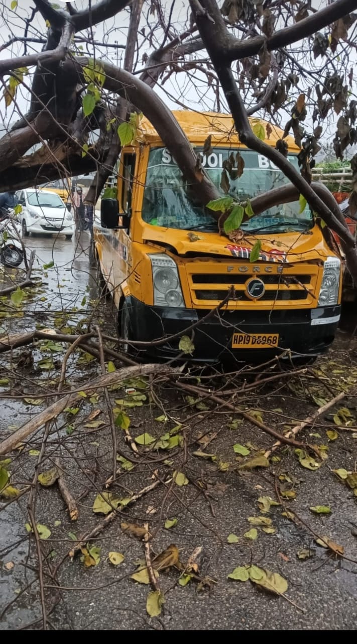 Tree branches fell on school bus, children narrowly escaped