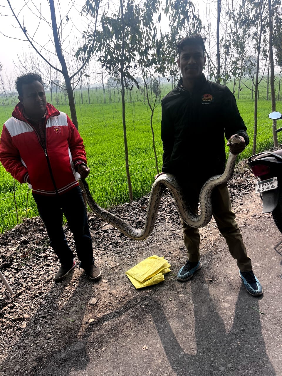 caught the python and released it into the forest