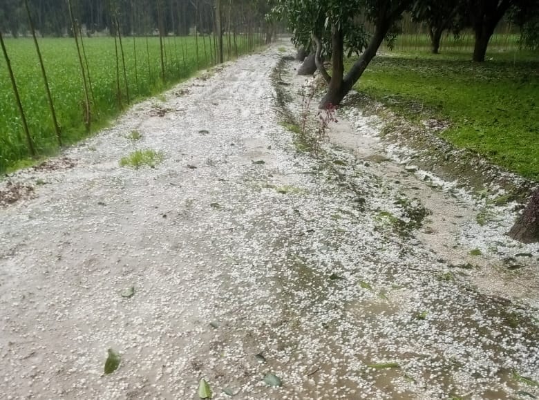 Cold increased due to rain and hailstorm, temperature dropped, electricity disrupted