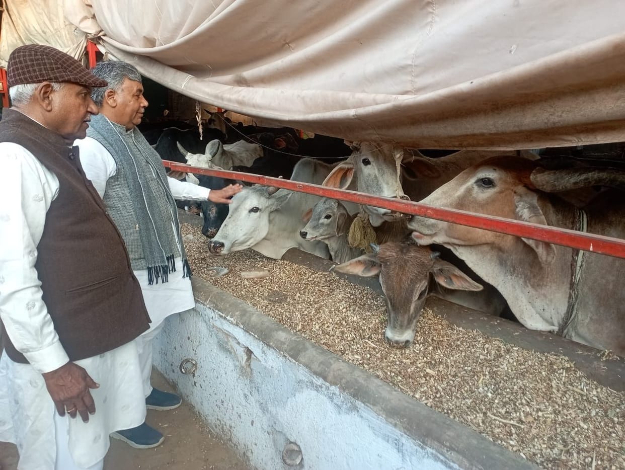 Checks worth Rs 14 lakh handed over to three Gaushalas