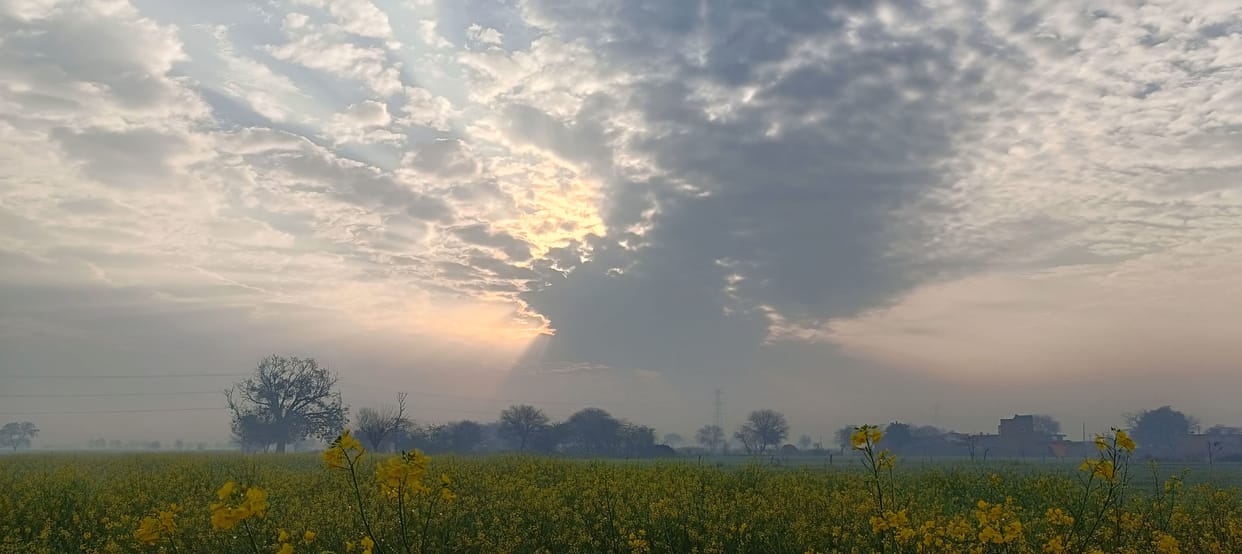 Chance of rain in Aligarh from March 1 to 3