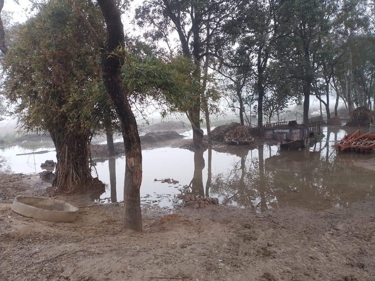 Water entered the fields due to overflowing of canal