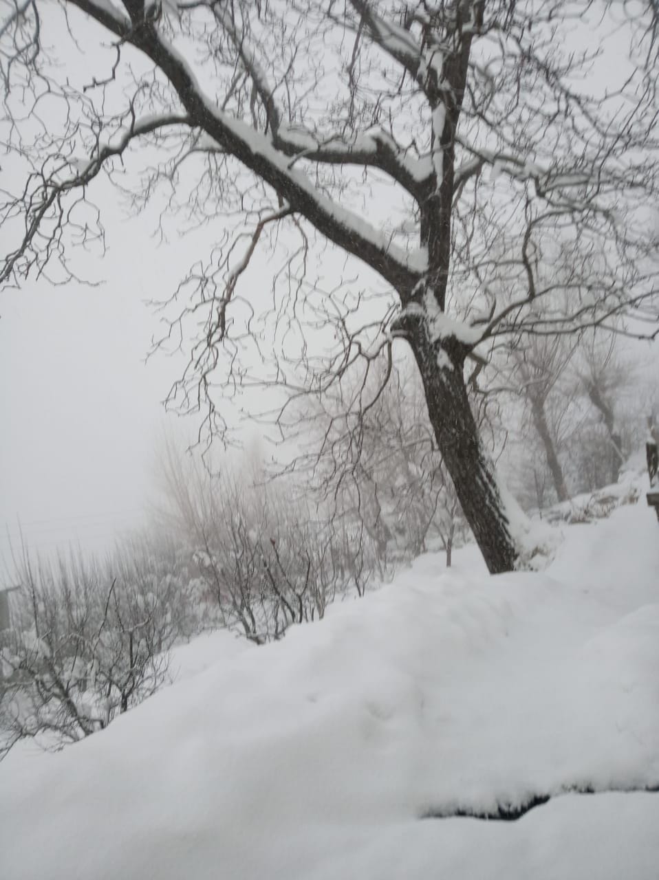 From Bari, neither the path of travel is easy nor electricity in the houses.