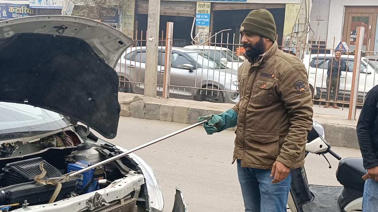 Panic caused by snake coming out of car bonnet, wildlife protection team caught it