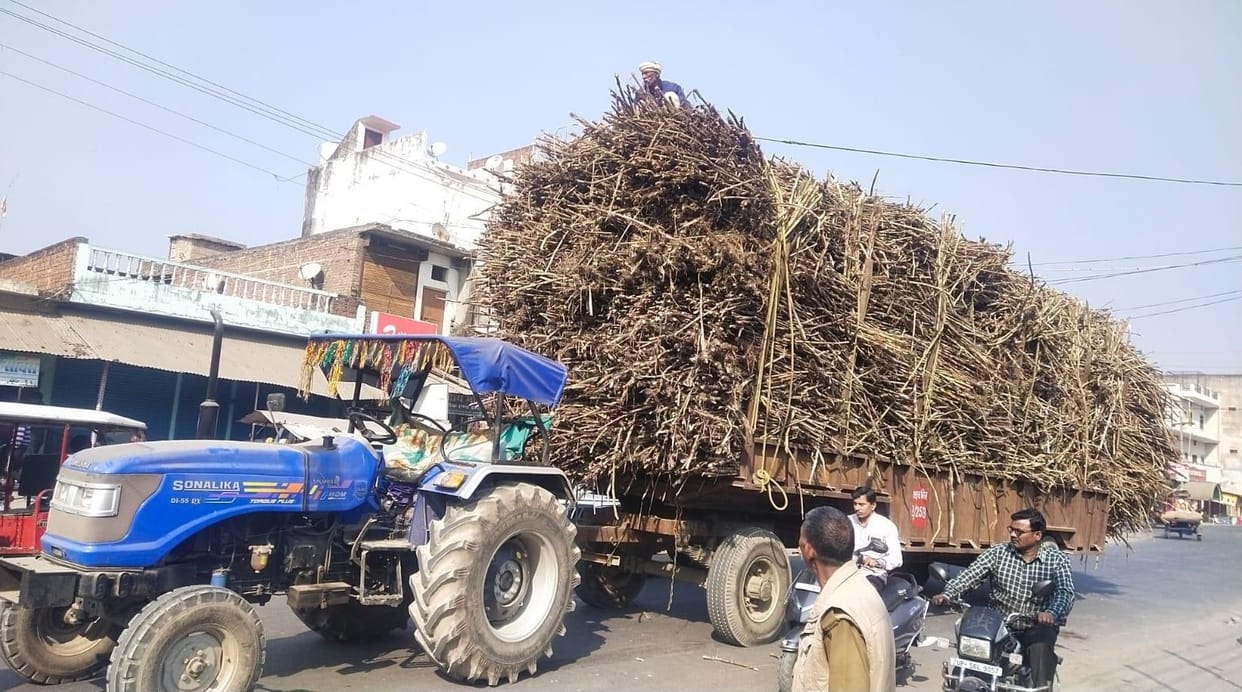 Sugarcane FRP: Cabinet could approves increase in sugarcane FRP for 2024-25 season