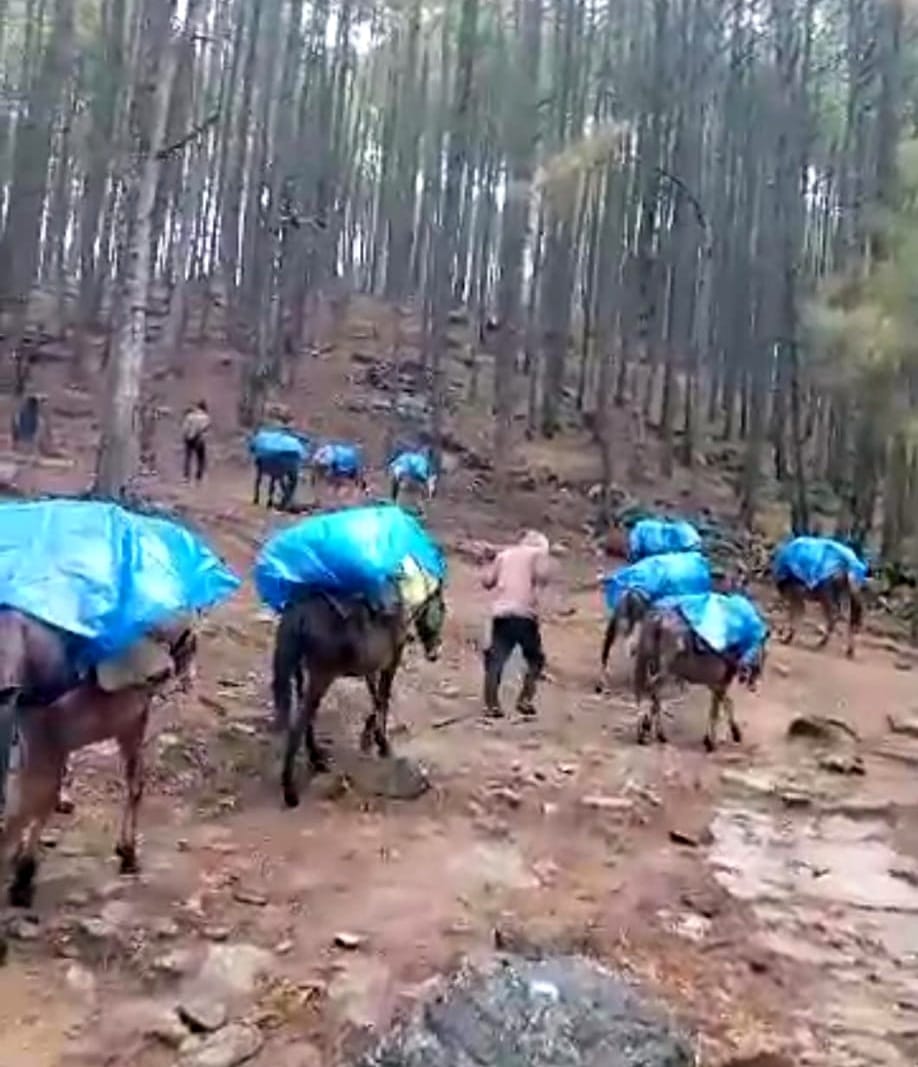 Even today villagers are forced to carry ration in mules