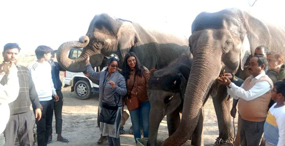 Elephant Masakali's birthday celebrated in Dudhwa
