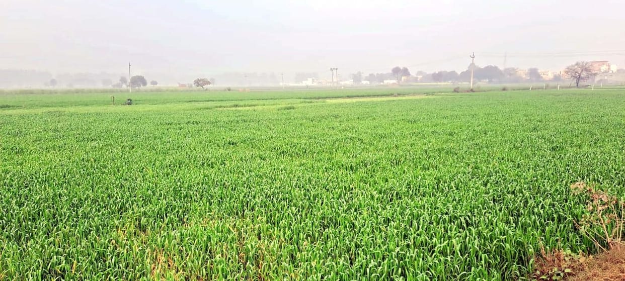 Minimum temperature dropped by five degrees, cloudy throughout the day