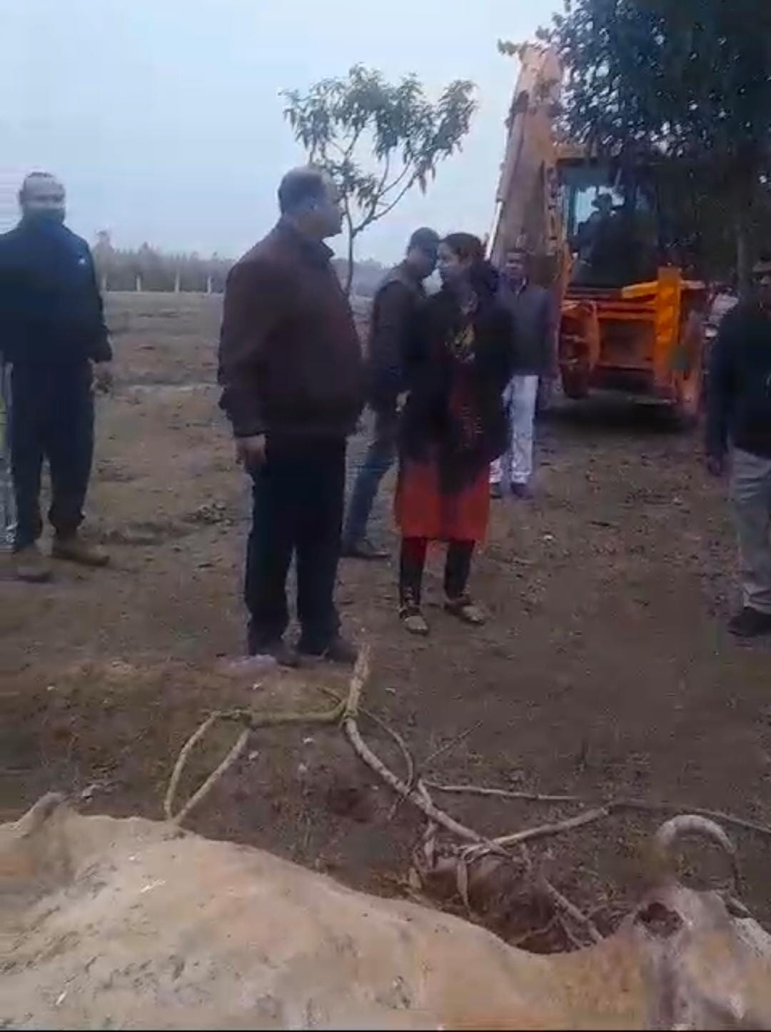 Four animals died in Khaikheda cow shelter in 48 hours
