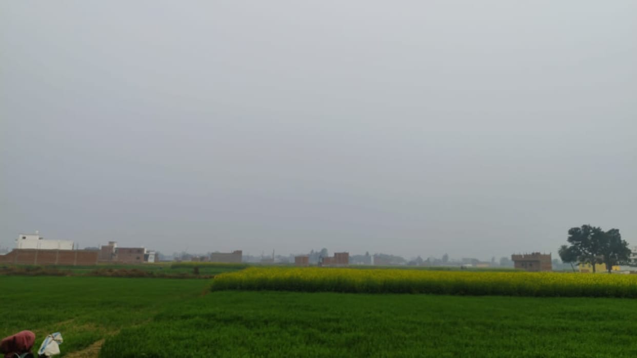 Clouds remained since morning, people were troubled by cold