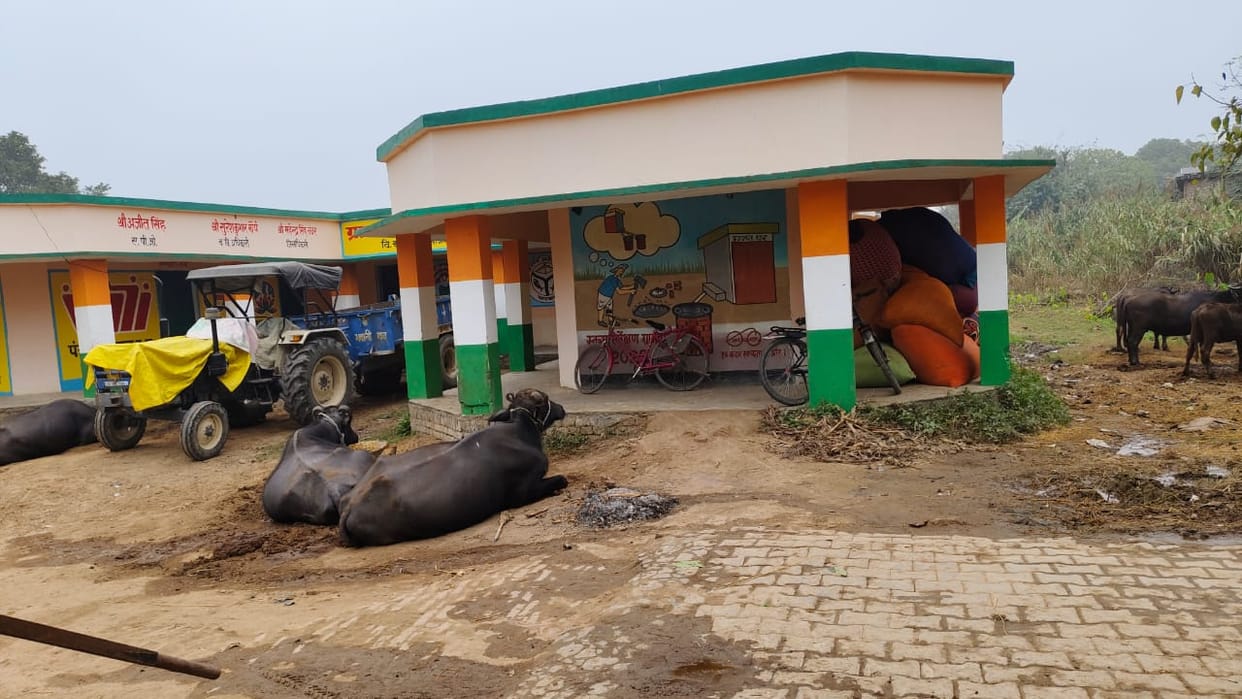 The dress is being kept at the Panchayat building, the buffalo is being tied.