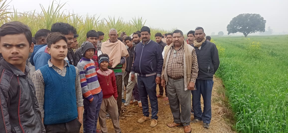 Tiger hunted bull near Mastipur village