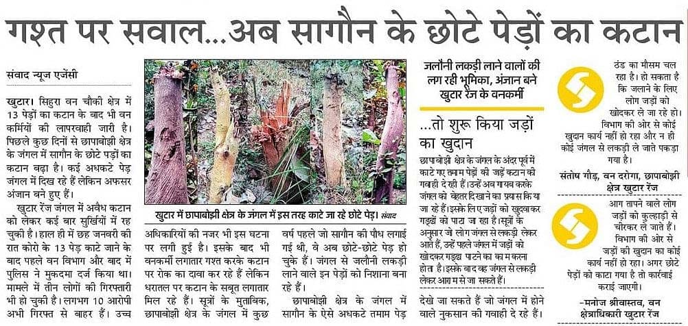 Now saw in the jungle of raid, report on three
