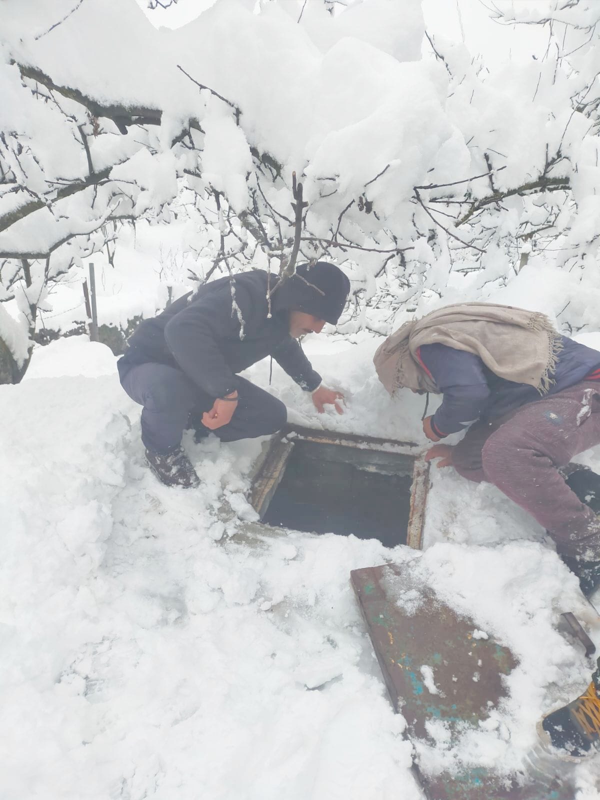Employees engaged in restoring the sources of frozen pipes.