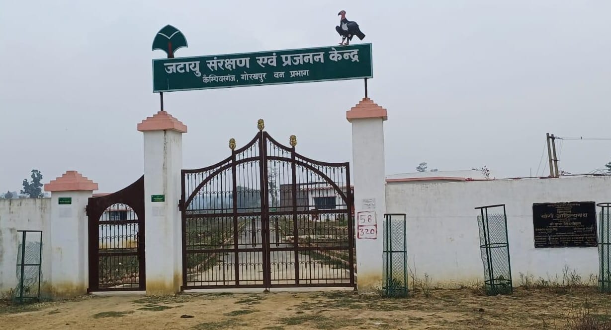 Jatayu's clan will increase, leopards will be protected