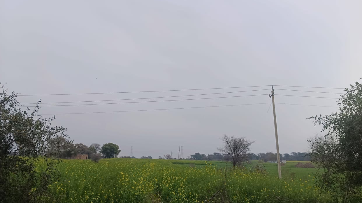 weather news wind changed direction and chances of rain this week in Bareilly