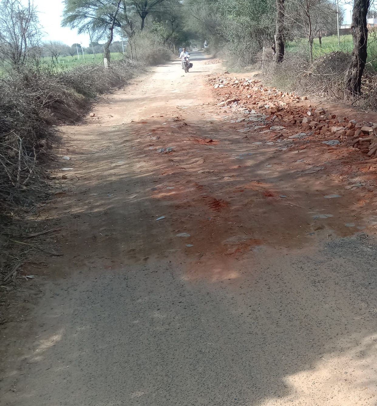Now with a budget of Rs 24 crore, there will be 17 link roads of 12 to 18 feet wide within a radius of 25 kilometers.
