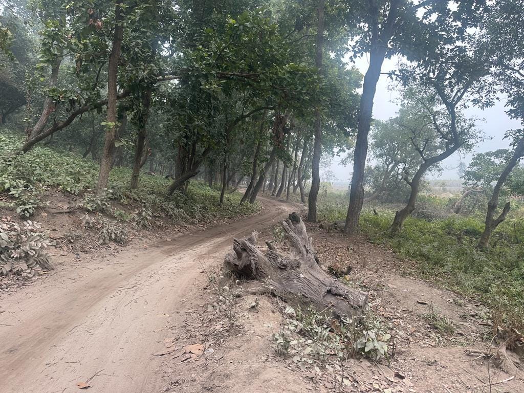 The road leading to Saptsarovar is in bad condition, tourists worried